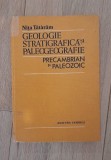 Geologie stratigrafica si paleogeografie Precambrian si Paleozoic &ndash; Nita Tataram