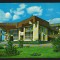 CPIB 18276 CARTE POSTALA - BAIA MARE. PALATUL POLITICO ADMINISTRATIV