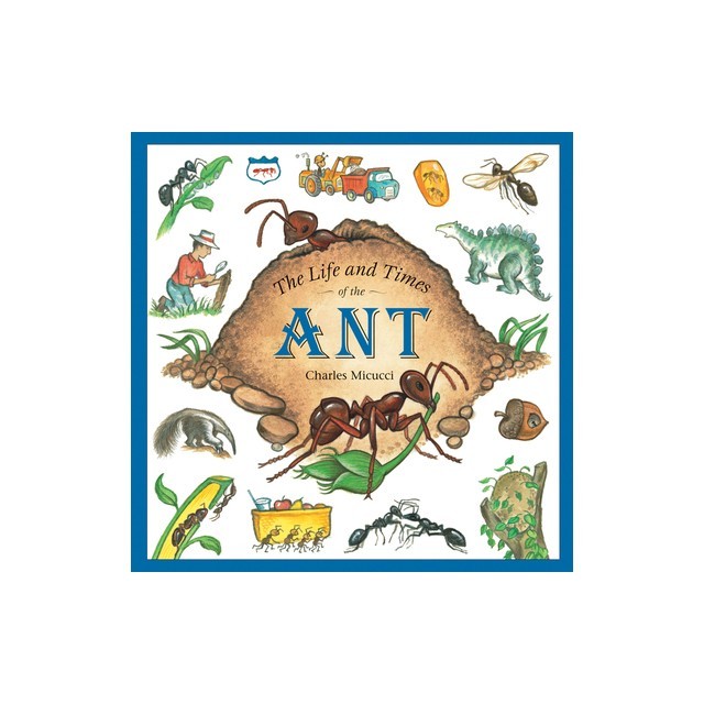 The Life and Times of the Ant