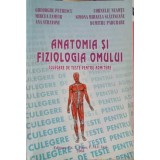 ANATOMIA SI FIZIOLOGIA OMULUI-GH. PETRESCU, M. ZAMFIR, A. STRATONE, C. NEAMTU, S. SLATINEANU, D. PADURARU-216919