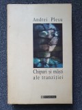 CHIPURI SI MASTI ALE TRANZITIEI - Andrei Plesu