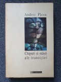 CHIPURI SI MASTI ALE TRANZITIEI - Andrei Plesu