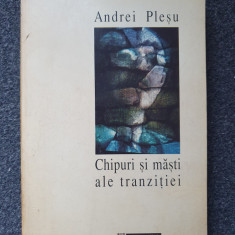 CHIPURI SI MASTI ALE TRANZITIEI - Andrei Plesu