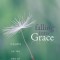 Falling Into Grace: Insights on the End of Suffering