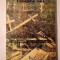 Constantin Totir - Catalogul dascălilor și &icirc;nvățăceilor uciși &icirc;n lupta &icirc;mpotriva comunismului 6 martie 1945-16 decembrie 1989