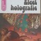 EFECT HOLOGRAFIC-RODICA BRETIN-243432