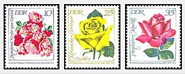 DDR 1972 - trandafiri(format mic), serie neuzata foto