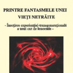 Printre fantasmele unei vieti netraite - Valentina M. Stoica