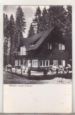 bnk cp Predeal - Cabana Clabucet - uzata foto