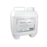 Ulei seminte de struguri, 5 litri, Nirvana Spa