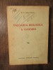 Valoarea biologică a g&acirc;ndirii - D. Chirculescu