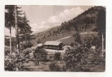 RF95 - Carte Postala - Muntii Rodnei, Complexul turistic Borsa, circulata 1957