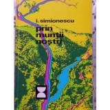 PRIN MUNTII NOSTRI-I. SIMIONESCU-222447
