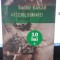 Ascetul Dorintei (un Roman despre KamaSutra) - Sudhir Kakar
