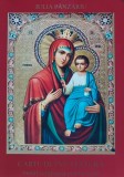 Cumpara ieftin Carte de invatatura moral-religioasa pentru copii - 2005 - Iulia Panzariu (G289)