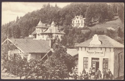 2820 - PREDEAL, Brasov, Magazin Universal Dumitru ANGHELESCU - old PC - unused foto