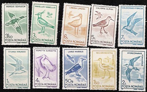 1991 - Pasari acvatice, uzuale, serie neuzata