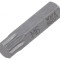 Capăt de şurubelniţă spline XZN M6 25mm
