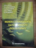 Ingineria si managementul calitatii suprafetei pieselor turnate- Mihai Stefan, Florin Diaconescu