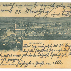 4703 - APOLDU de SUS, Sibiu, Litho, Romania - old postcard - used - 1906