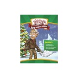 Adventures in Odyssey Advent Activity Calendar: Countdown to Christmas