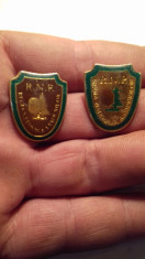 2 insigne agentia nationala a padurilor una placata cu aur 24k foto