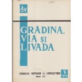 Gradina, Via si Livada, Nr. 3/1965 - Revista de Stiinta si Practica Horti-Viticola