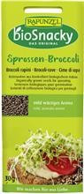 Seminte de Brocoli pentru Germinat Bio 30gr Rapunzel Cod: 690440 foto