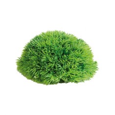 DECOR PENTRU ACVARIU MUSCHI FLAMINGO 17CM foto