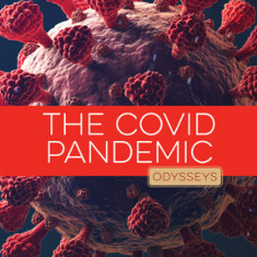 The Covid Pandemic