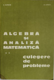 Algebra si analiza matematica - culegere de probleme ,D. Flondor, vol.2