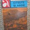 ROMAN KIM - CITESTE SI ARDE