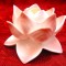 SFESNIC PORTELAN FORMANO - FLOARE DE LOTUS 10 CM