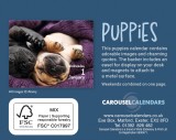 Cumpara ieftin Calendar de birou 2025 - Mini - Puppies | Carousel