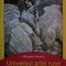 Mihaela Moraru - Universul Artei Ruse arta rusa Rusia (Meteor Press, 2003, 405 pag., 100 ill.) arta Rusia icoane pictura teatru cinematografie RARA