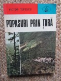 POPASURI PRIN TARA de VICTOR TUFESCU , 1976