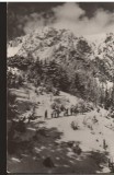 CPIB 22711 - CARTE POSTALA - MUNTII BUCEGI. BUCSOIUL IARNA, RPR, Circulata, Fotografie