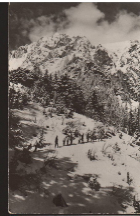 CPIB 22711 - CARTE POSTALA - MUNTII BUCEGI. BUCSOIUL IARNA, RPR