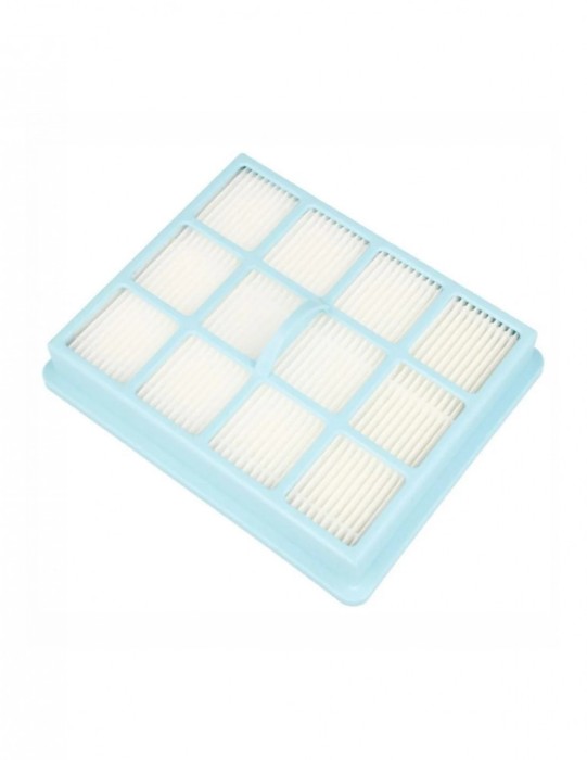 Filtru hepa compatibil CP0425/01 Philips Performer Active FC8525 echivalent 432200493941