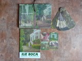 Catalog de expoziție - Locuri care ne iubesc - Ilie Boca, 2012