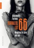 Cumpara ieftin Jurnalul Lui 66. Noaptea In Care Am Ars, Alexandra Furnea - Editura Humanitas