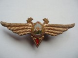 ROMANIA - INSIGNA MILITARA AVIATIE - TEHNIC DE AVIATIE CL. 1, MODEL 1968, RSR, IM1.180