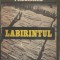 Labirintul - Francisc Pacurariu