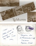 *Romania, Tg. Mures, carte posta ilustrata circulata intern, 1962