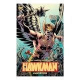 Awakening, Robert Venditti, Bryan Hitch