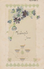 Flori 1903 - litografie circulata foto