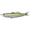 Swimbait Live Target Hollow Body Shiner Walking Bait, Metallic Lemon Lime, 11.5cm, 14g