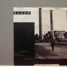 Black – Wonderful Life/Life Calls (1987/A & M rec/RFG) - Vinil/Vinyl Single/NM+