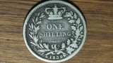 Anglia / Marea Britanie - moneda argint sterling 925 rara - 1 shilling 1839 - Victoria - primul bust - starea din imagini !