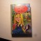 Carte in lb. engleza: Lorrie&#039;s first term - Norah Myrlea, 1955